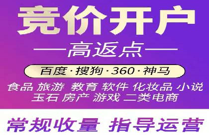 SEM广告投放中的数据监控与调整策略——以某品牌营销案例为例